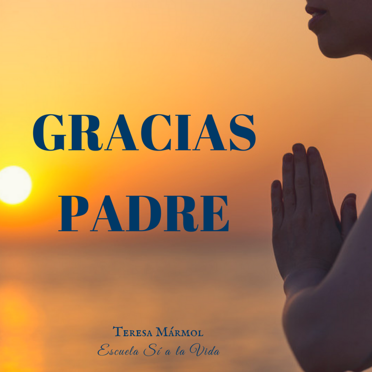 Imagen Gracias Padre - Teresa Marmol