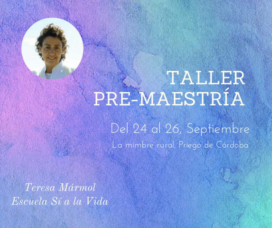 Imagen SEPTIEMBRE: Taller Pre-Maestría - Teresa Marmol
