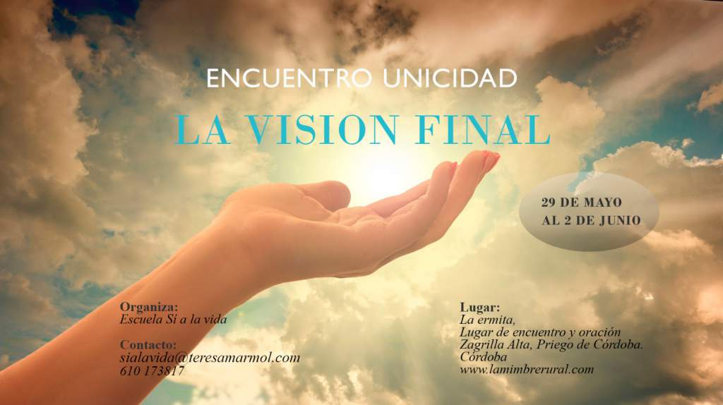 Imagen La Visión Final - Teresa Marmol